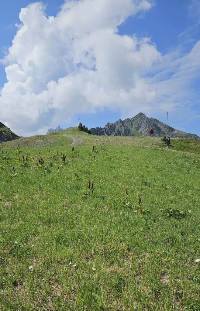 Suivi Eclipse - Point de vue A21 - année 2025