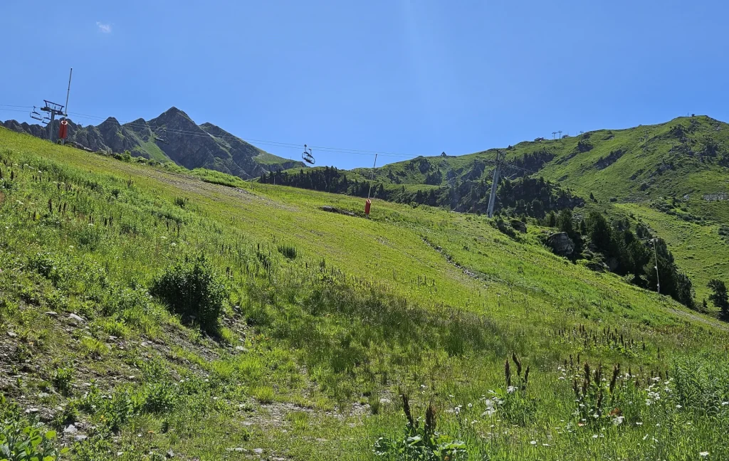 Suivi Eclipse - Point de vue A51 - année 2024