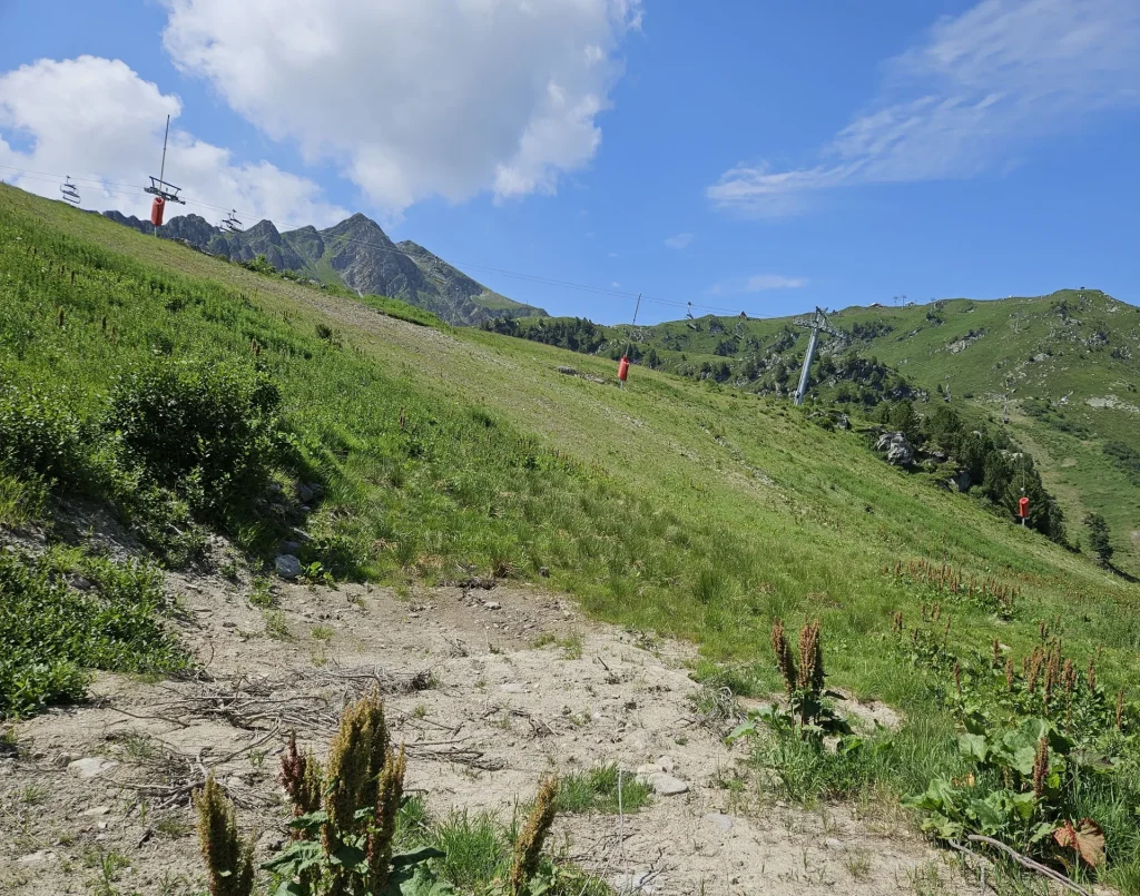 Suivi Eclipse - Point de vue A51 - année 2025