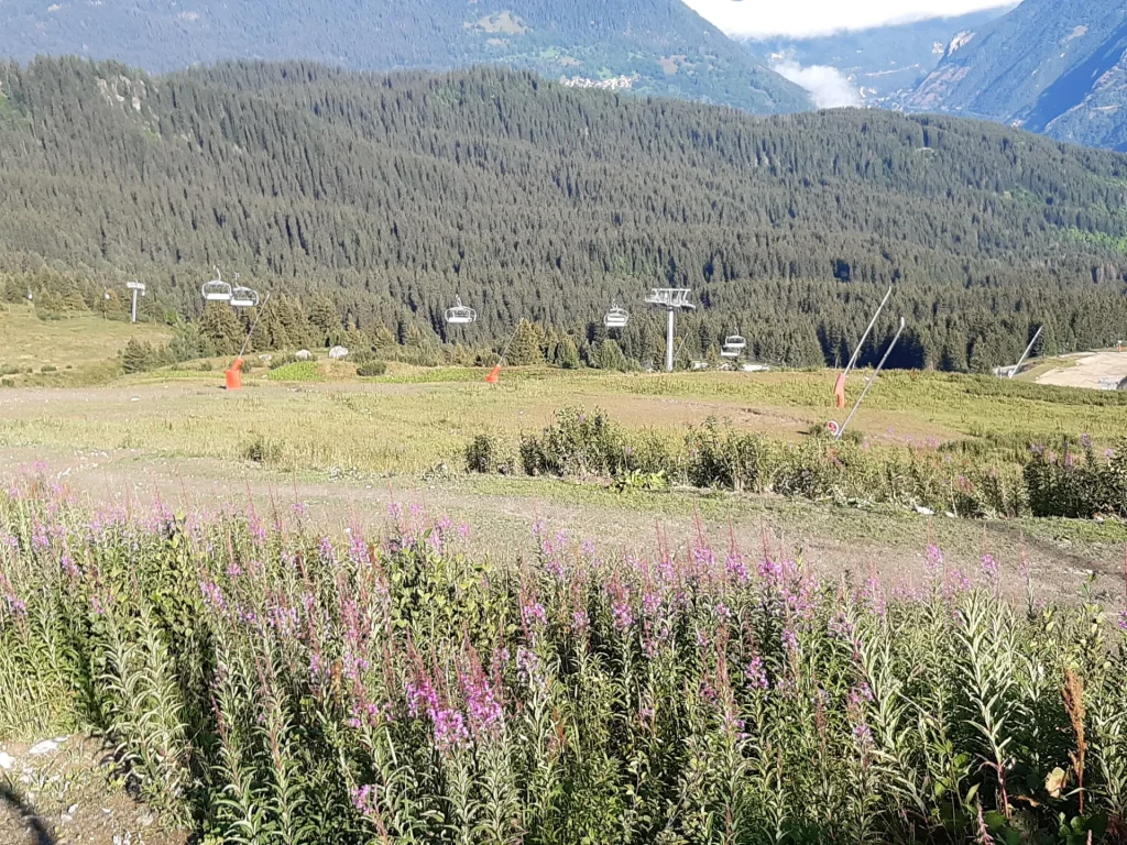 Suivi Eclipse - Point de vue A61 - année 2021