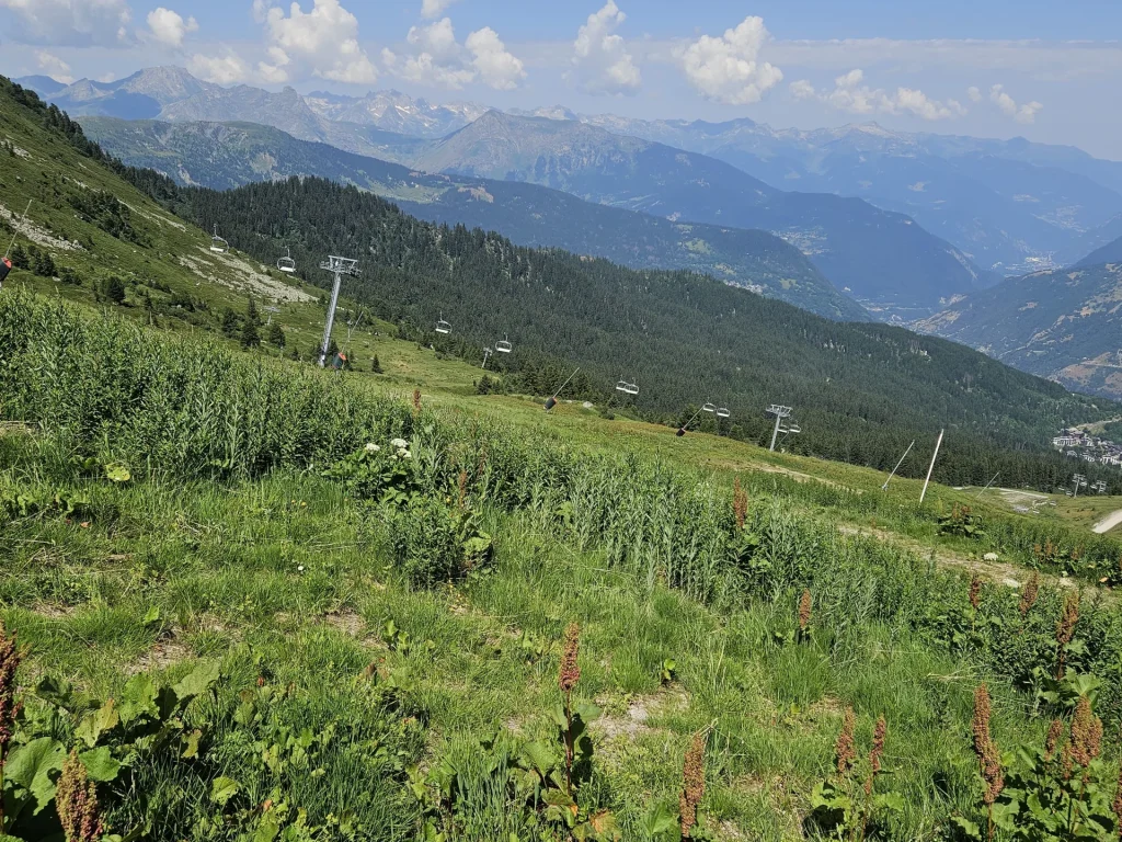 Suivi Eclipse - Point de vue A61 - année 2025