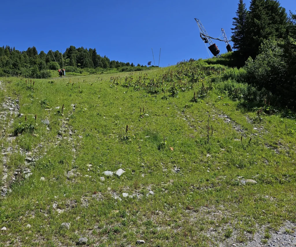 Suivi Eclipse - Point de vue B21 - année 2024