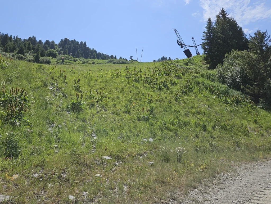 Suivi Eclipse - Point de vue B21 - année 2025