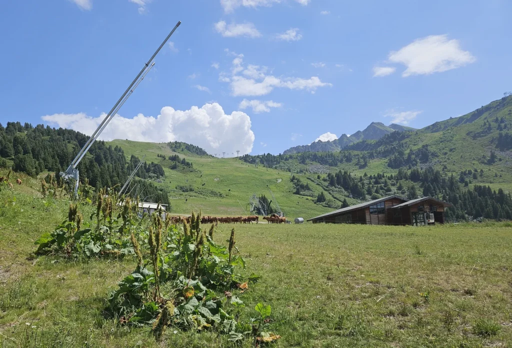 Suivi Eclipse - Point de vue B31 - année 2025