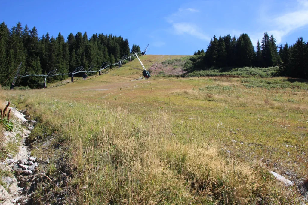 Suivi Eclipse - Point de vue C01 - année 2022