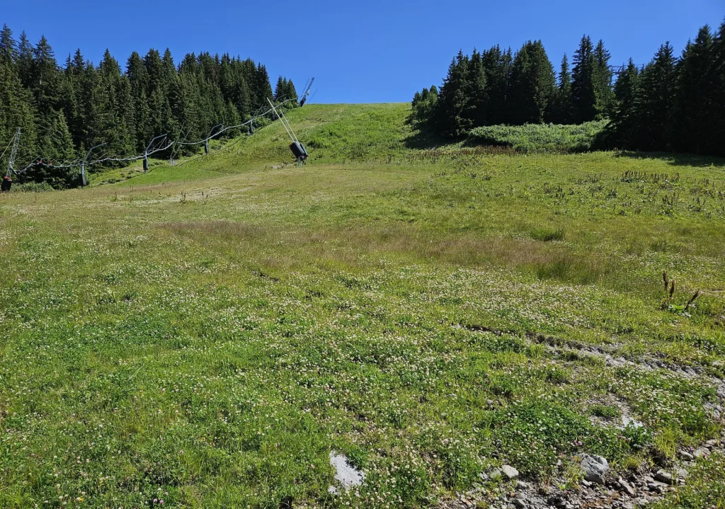 Suivi Eclipse - Point de vue C01 - année 2024