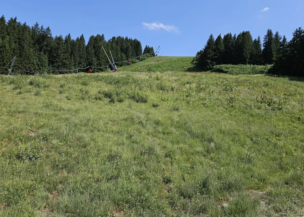 Suivi Eclipse - Point de vue C01 - année 2025