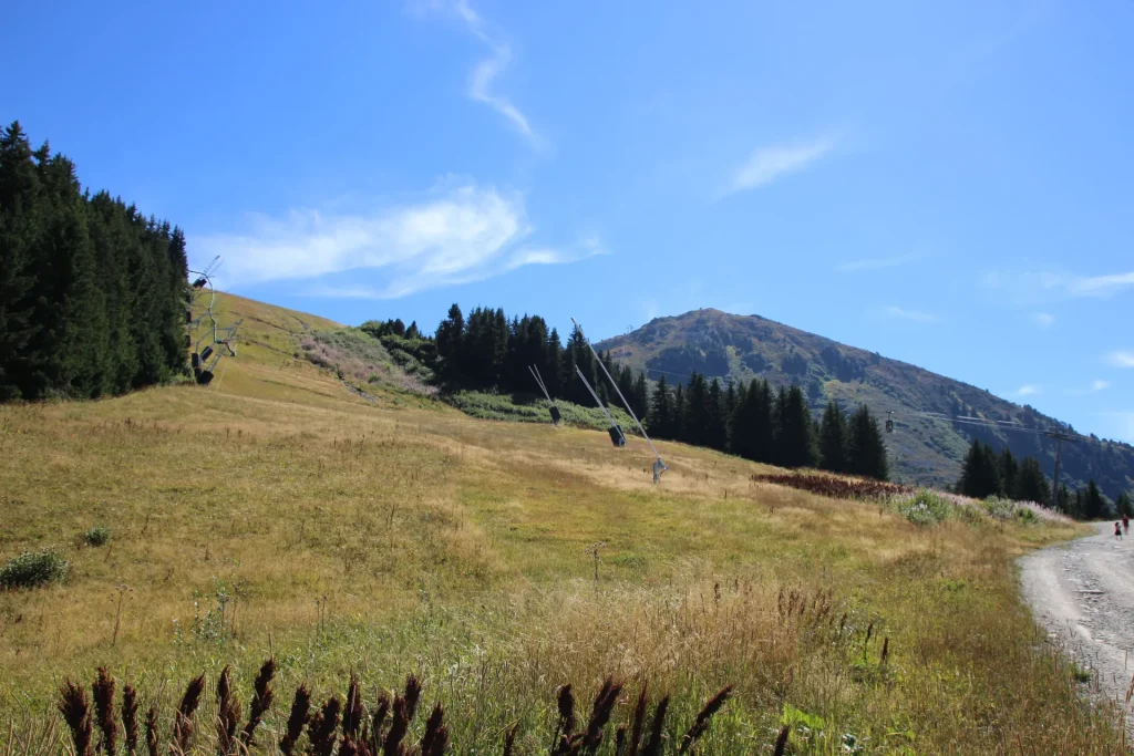 Suivi Eclipse - Point de vue C11 - année 2022