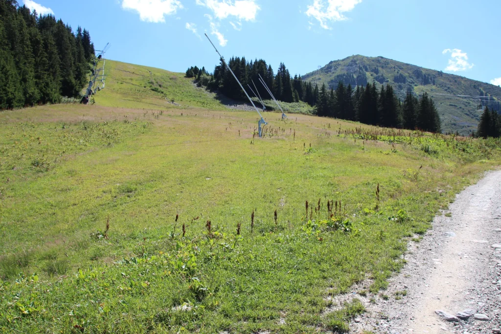 Suivi Eclipse - Point de vue C11 - année 2023