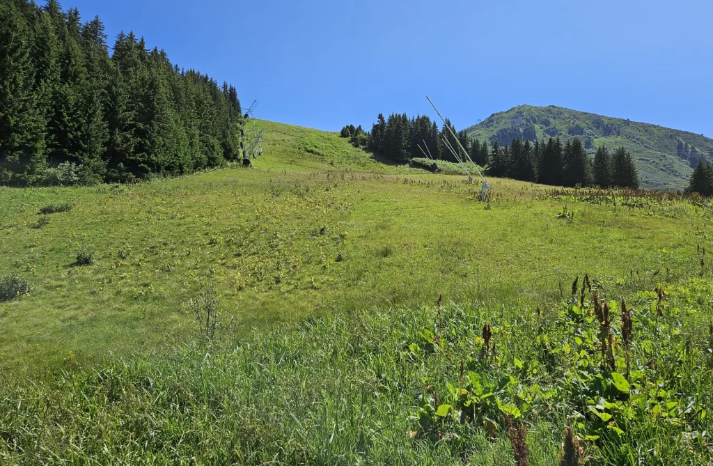 Suivi Eclipse - Point de vue C11 - année 2024