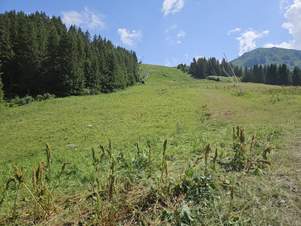 Suivi Eclipse - Point de vue C11 - année 2025