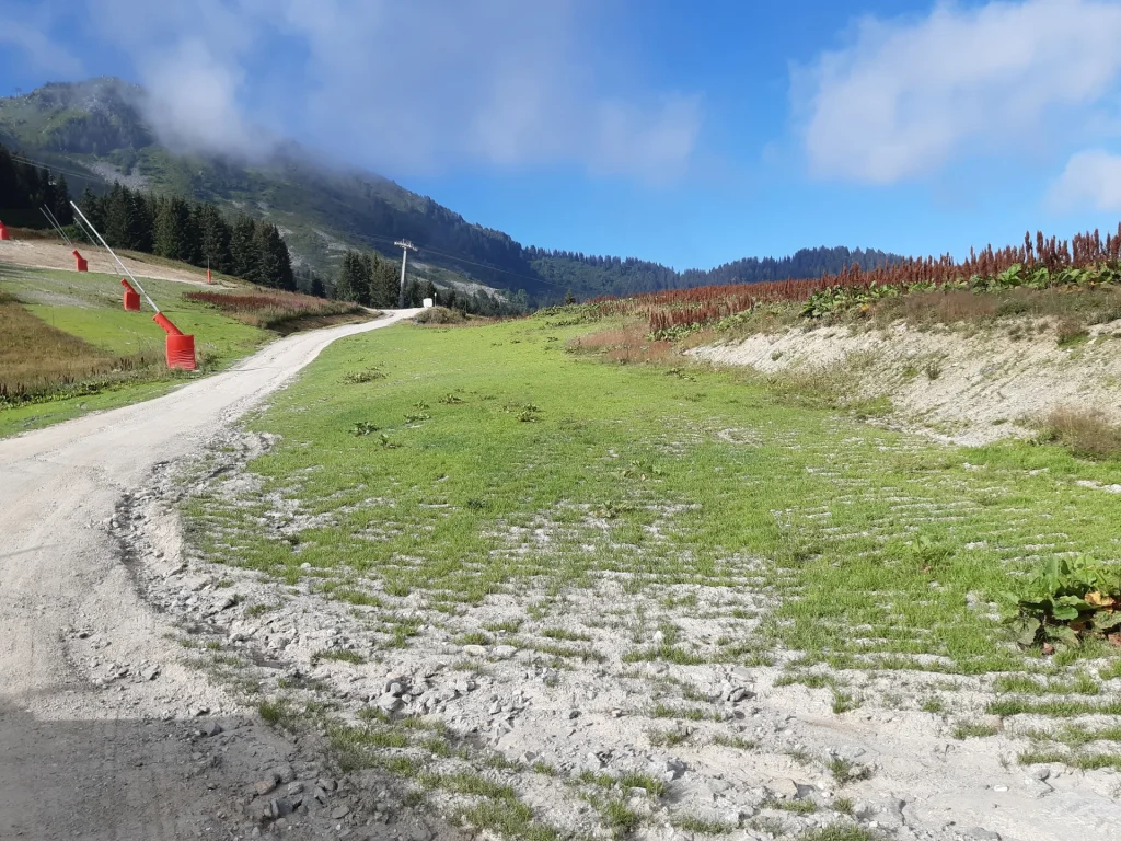 Suivi Eclipse - Point de vue C21 - année 2021