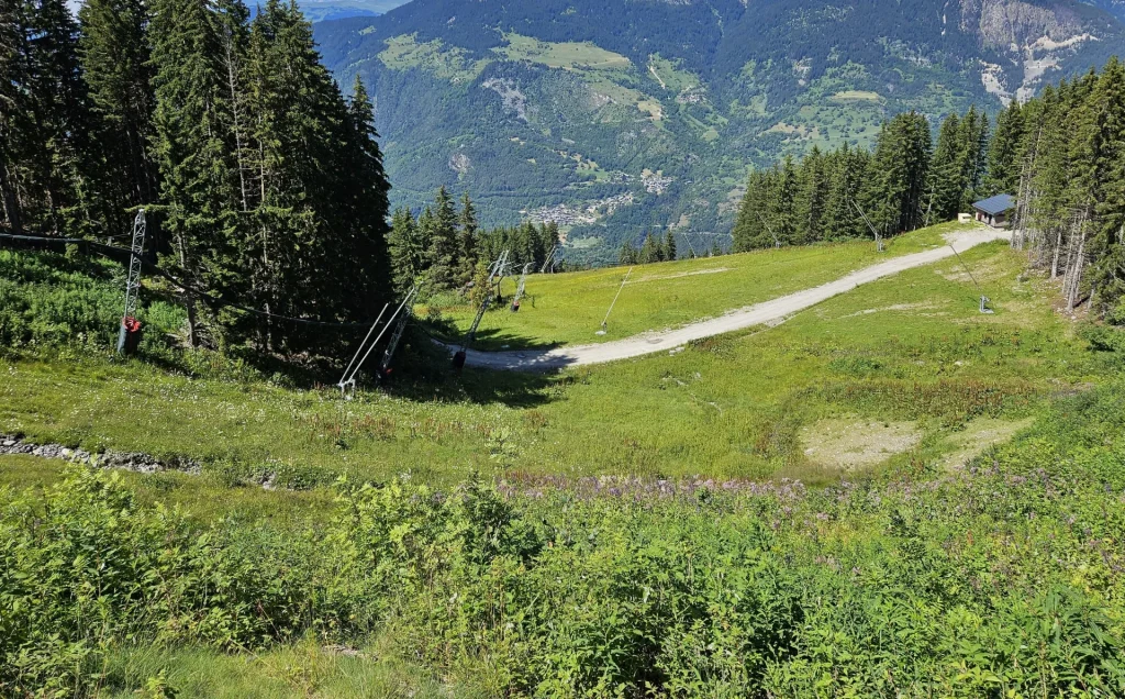 Suivi Eclipse - Point de vue C31 - année 2024