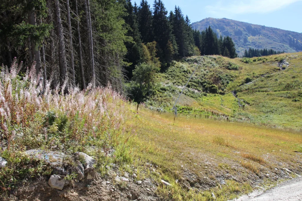 Suivi Eclipse - Point de vue C61 - année 2022