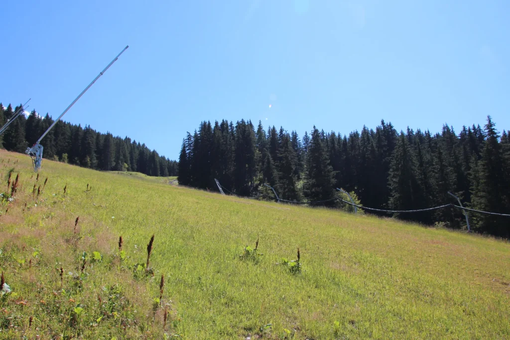 Suivi Eclipse - Point de vue C81 - année 2023