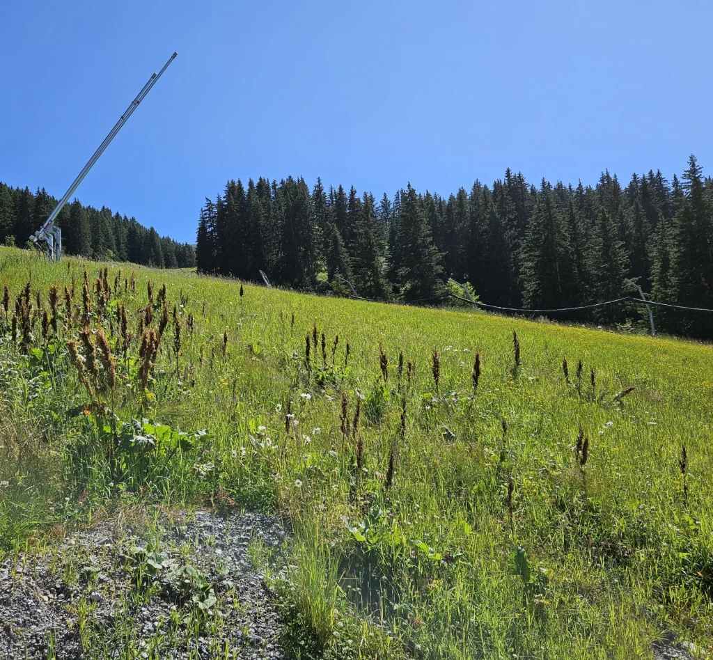 Suivi Eclipse - Point de vue C81 - année 2024