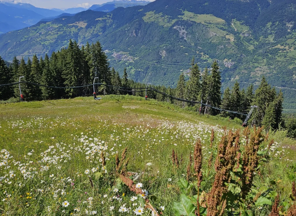 Suivi Eclipse - Point de vue C91 - année 2024