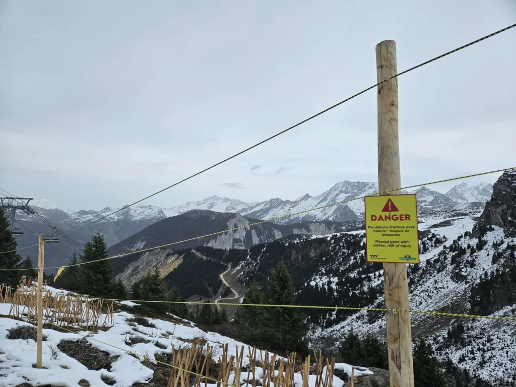 Plantation sur la zone d