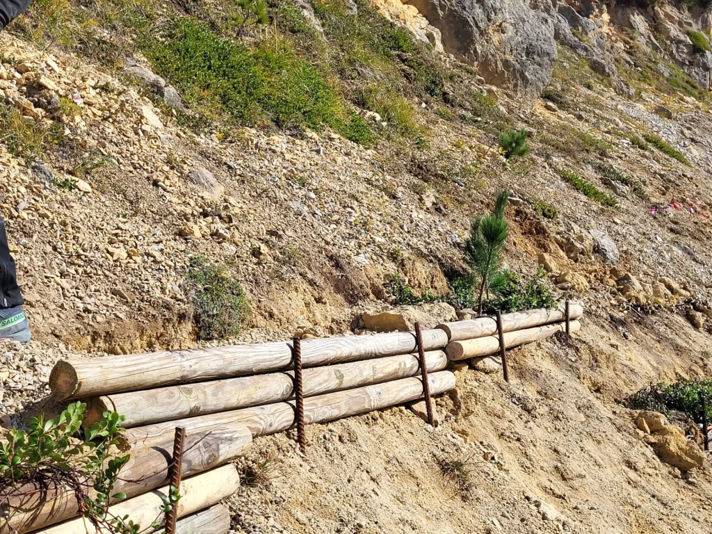 Banquette avec Pins cembro et Raisins d