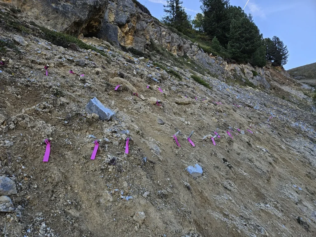 Zone de bouturage des saules