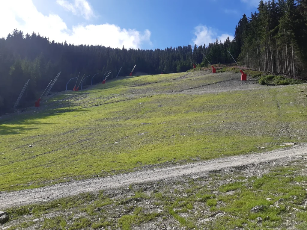 Suivi Eclipse - Point de vue D01 - année 2021