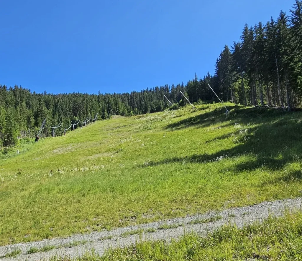 Suivi Eclipse - Point de vue D01 - année 2024