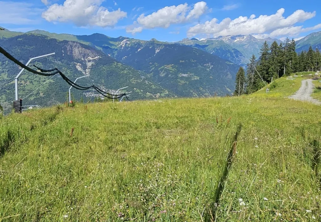 Suivi Eclipse - Point de vue D02 - année 2024