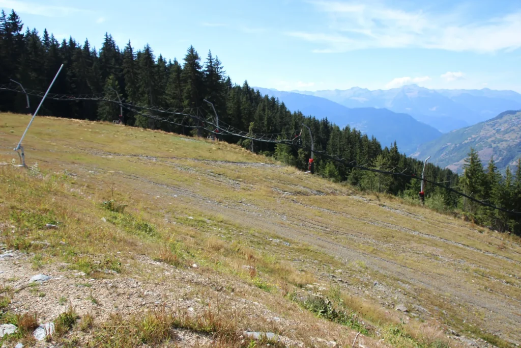 Suivi Eclipse - Point de vue D11 - année 2022