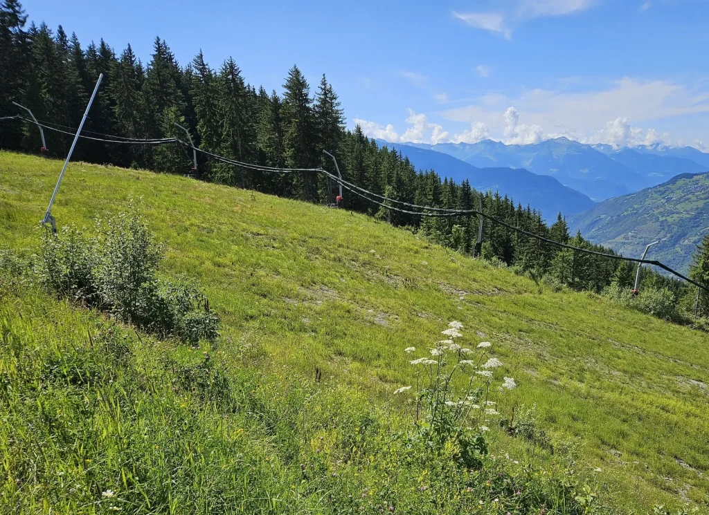 Suivi Eclipse - Point de vue D11 - année 2024