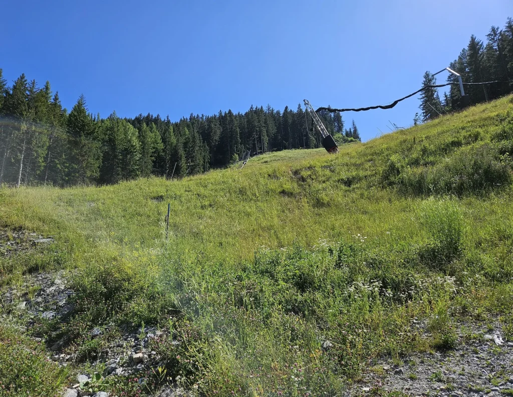 Suivi Eclipse - Point de vue D21 - année 2024