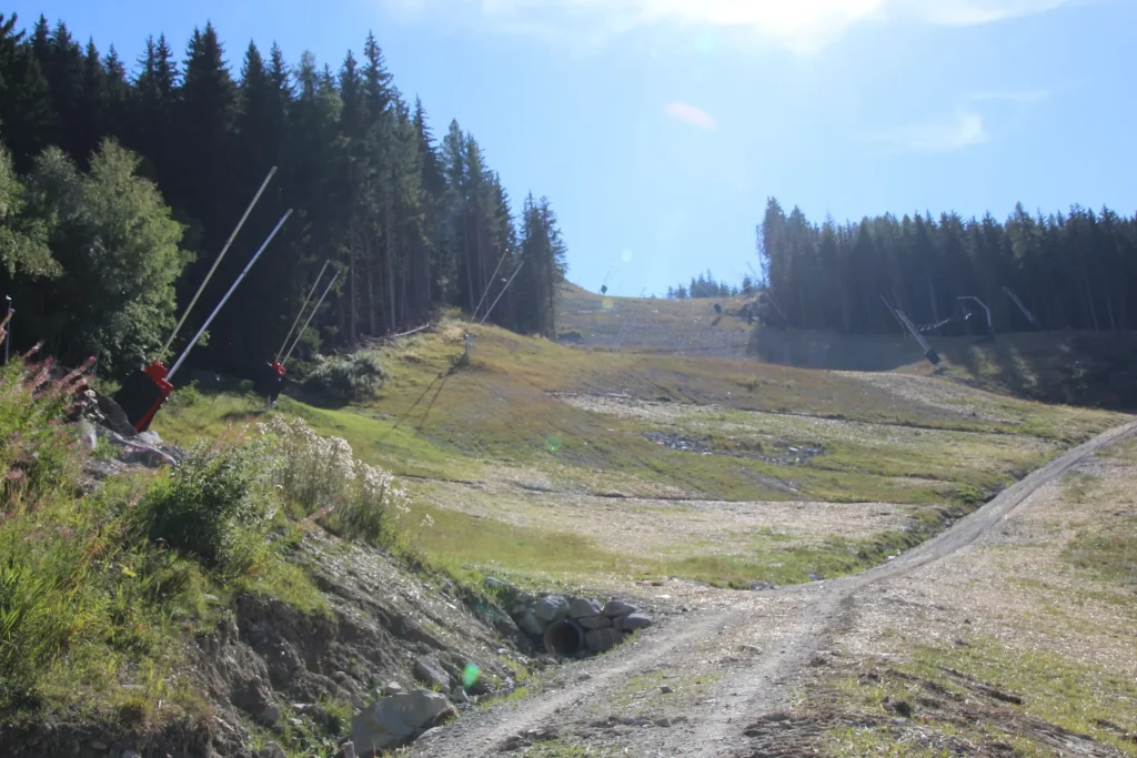 Suivi Eclipse - Point de vue D41 - année 2022