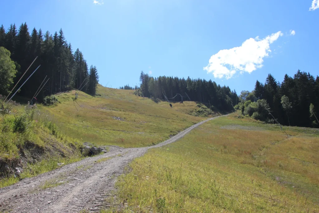 Suivi Eclipse - Point de vue D41 - année 2023