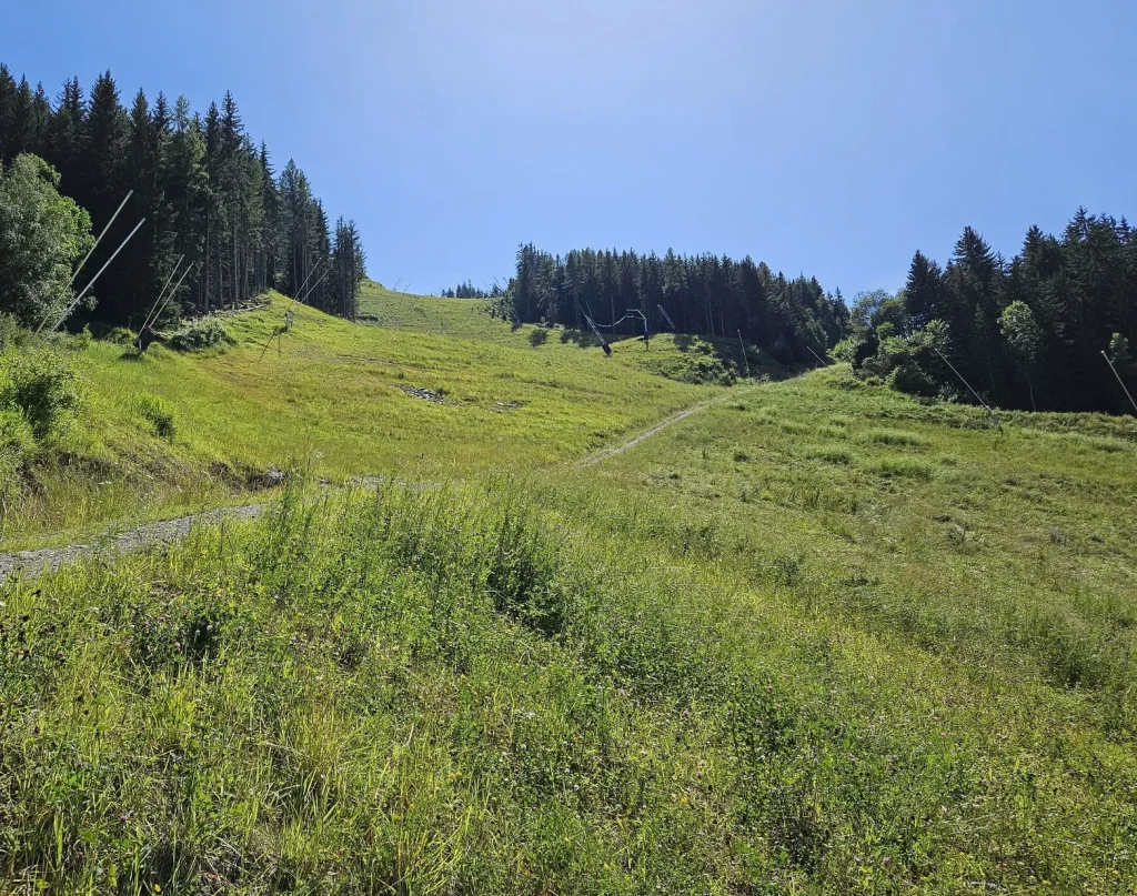 Suivi Eclipse - Point de vue D41 - année 2024