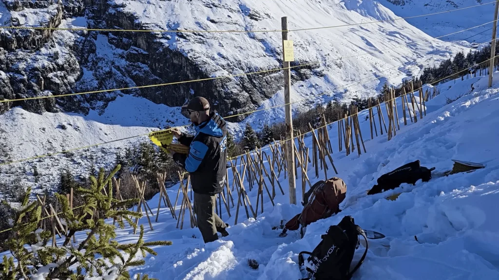 Réfection des limites sur la zone d